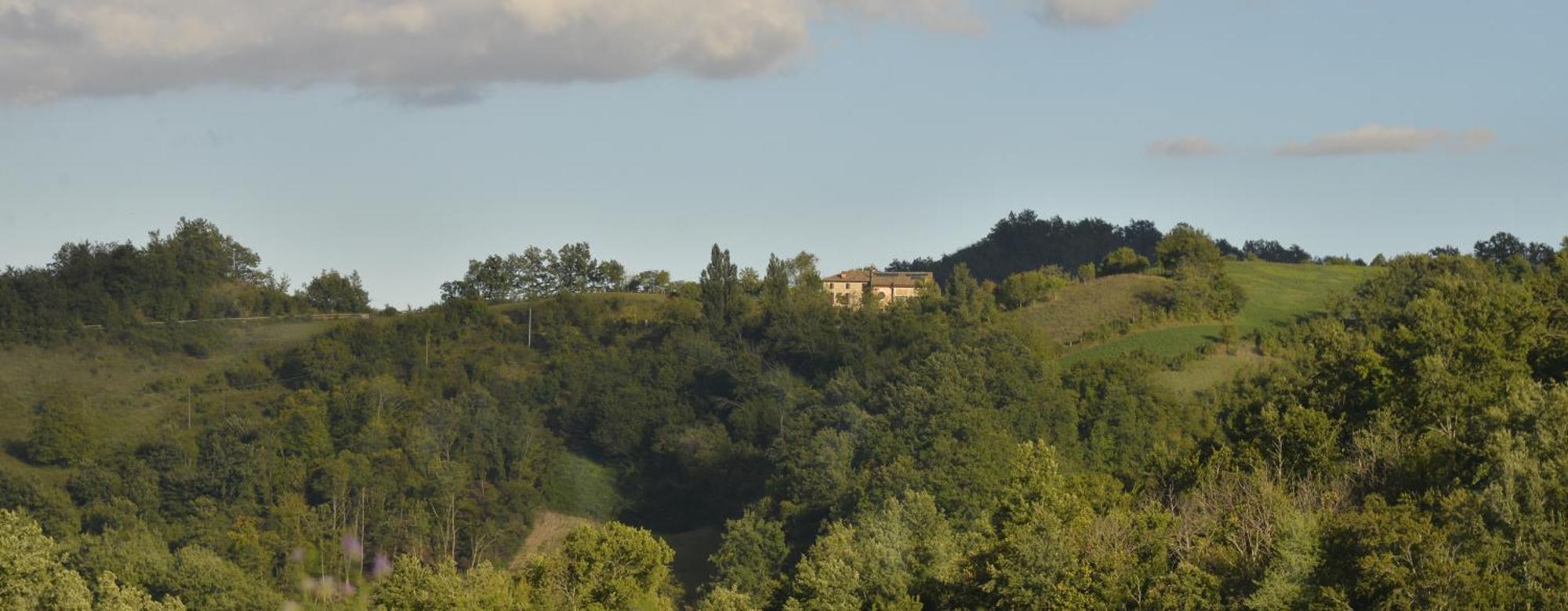Agriturismo Campo Del Pillo Pietradura Bagian luar foto