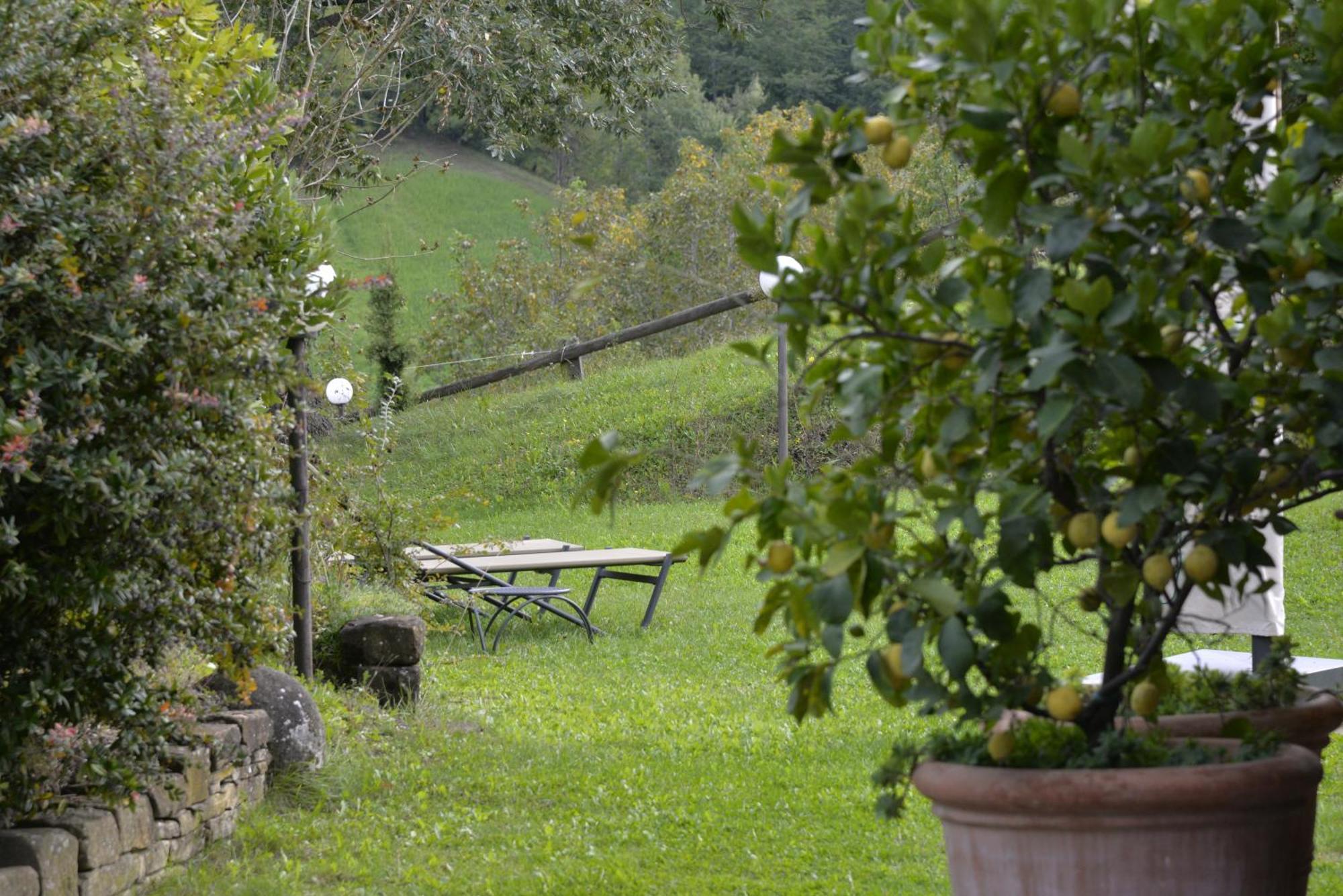 Agriturismo Campo Del Pillo Pietradura Bagian luar foto