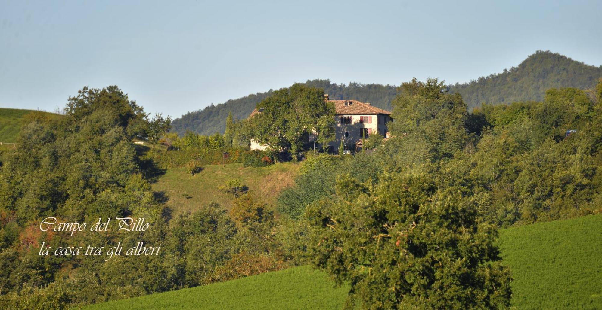 Agriturismo Campo Del Pillo Pietradura Bagian luar foto