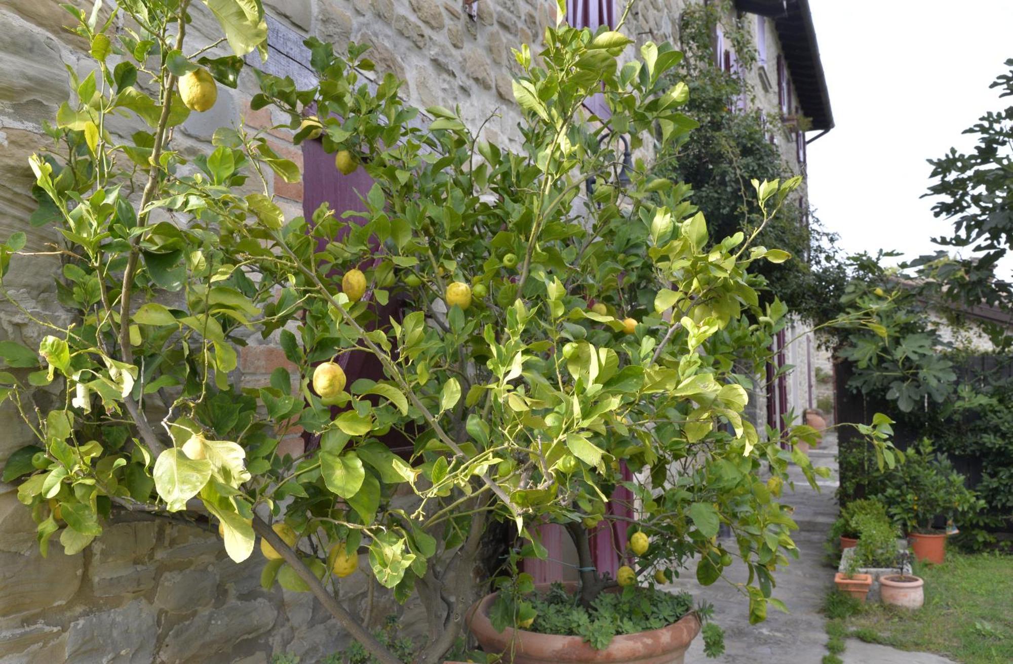 Agriturismo Campo Del Pillo Pietradura Bagian luar foto