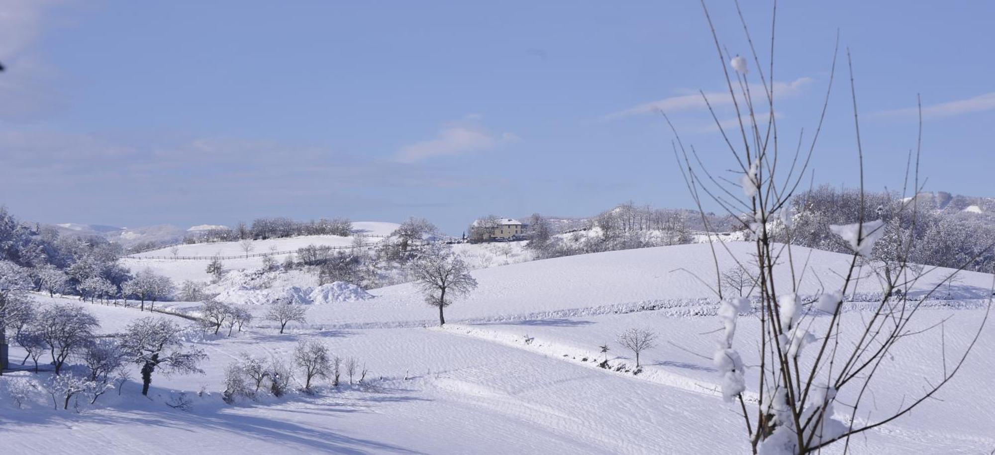 Agriturismo Campo Del Pillo Pietradura Bagian luar foto